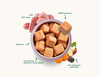 Natures Menu 80/20 Raw Nuggets- Turkey