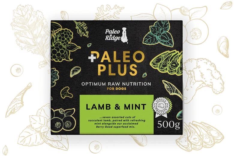 Paleo Plus Lamb & Mint 500g