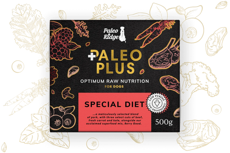 Paleo Plus Special Diet 500g