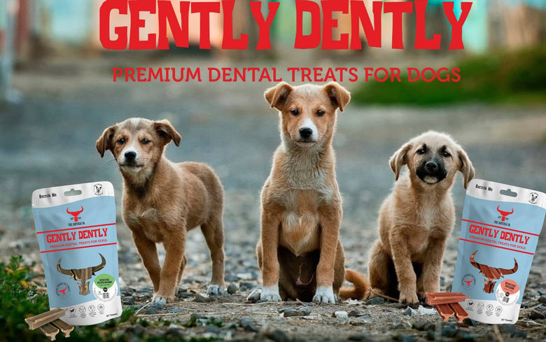 Gently Dently- Apple & Banana Dental Treats for Dogs